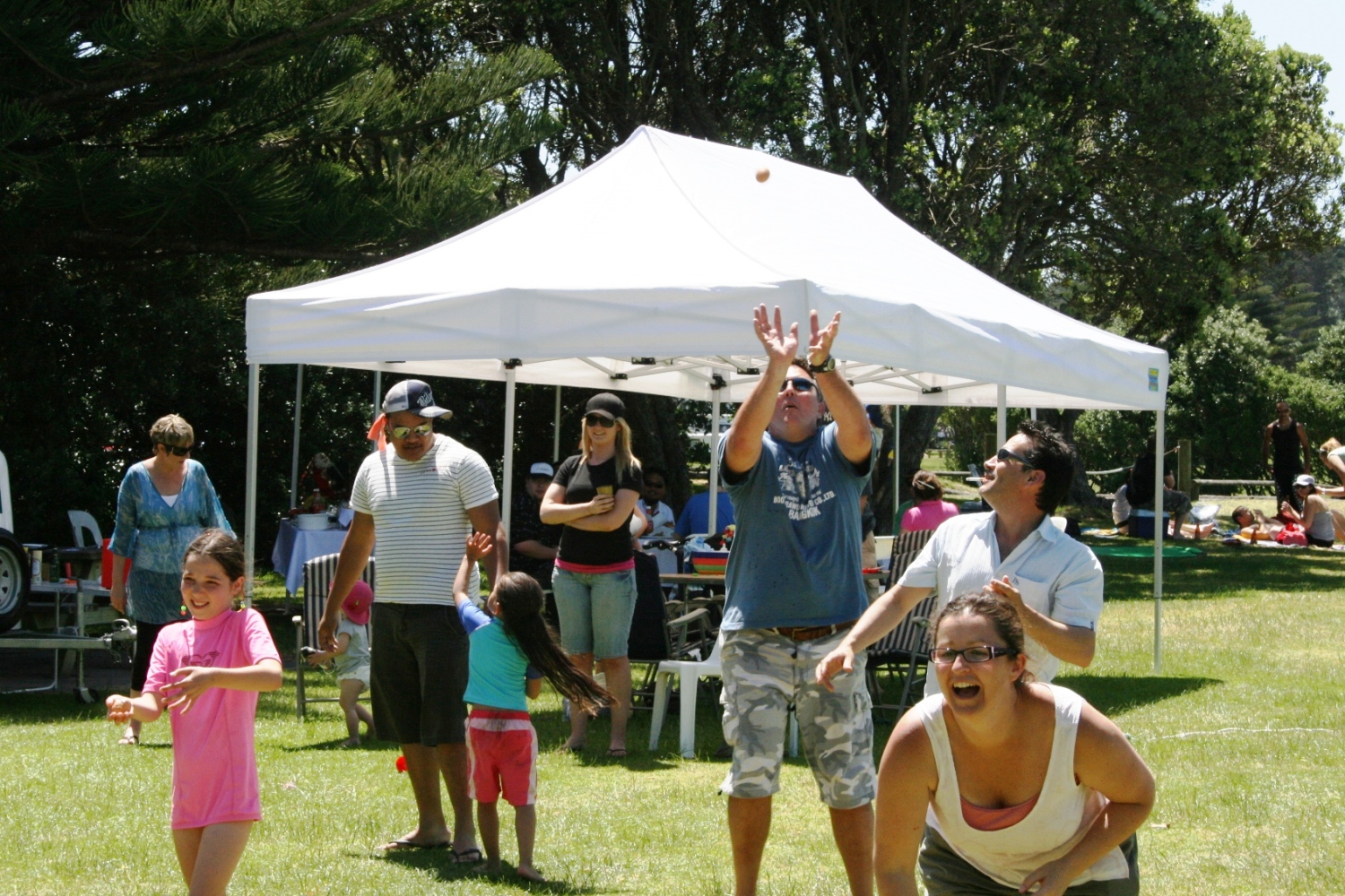 Outdoor events and games in Auckland