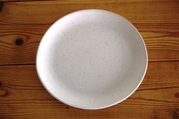 [H-SPESD21] Crockery - Irregular Entree Plate 21cm