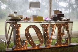 [H-LOVE] Light Set - Marquee &quot;LOVE&quot; 60cm Tall Metal