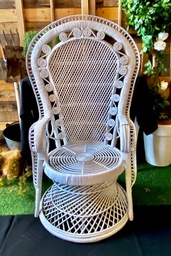 [H-VPCHAIR] Vintage Chair White Cane Peacock